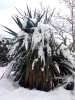 Снегопад в Крыму_10